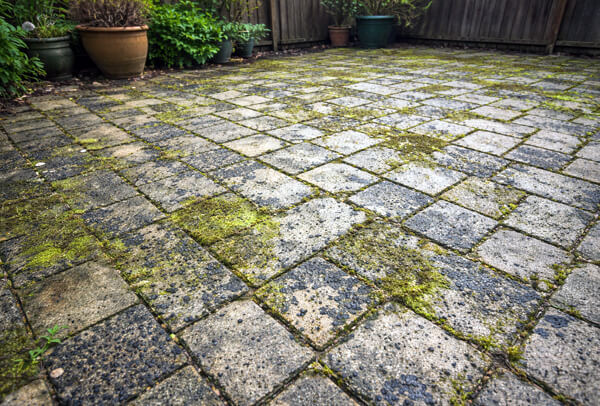 Block paving patio before cleaning in Milton Keynes