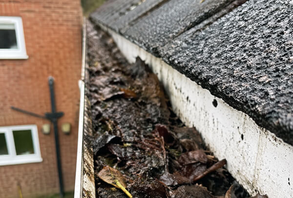 Blocked gutter before cleaning in Milton Keynes