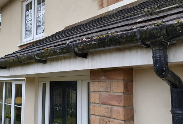 Blocked gutter in Northampton before cleaning, filled with moss and debris