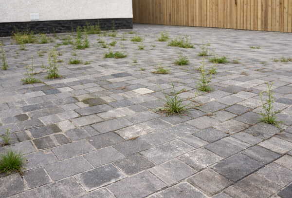 Driveway before cleaning transformation in Milton Keynes
