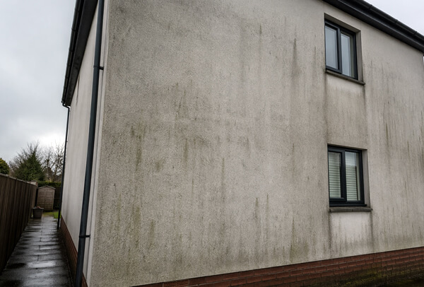 Exterior wall in Northampton before house washing, with visible dirt and staining