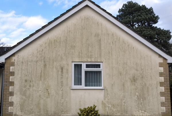 Rendered exterior wall in Northampton before cleaning, with green staining and dirt marks