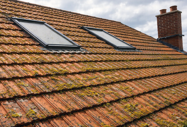 Roof after cleaning in Milton Keynes