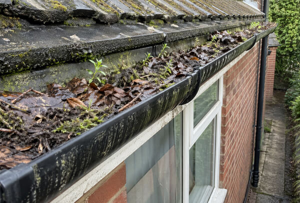 Gutters in Northampton showing signs of blockage before cleaning